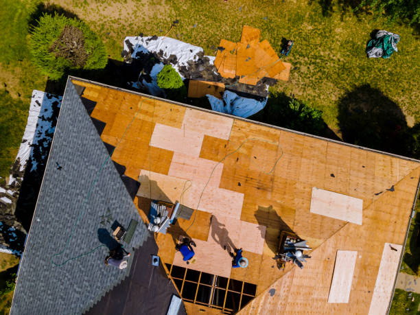 Best Roof Repair Specialists  in Olivet, MI