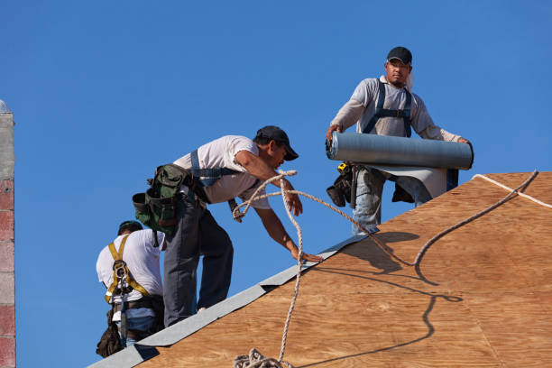 Best Roof Leak Repair  in Olivet, MI