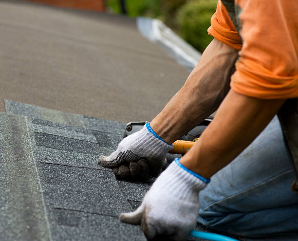 Best Roof Restoration Services  in Olivet, MI