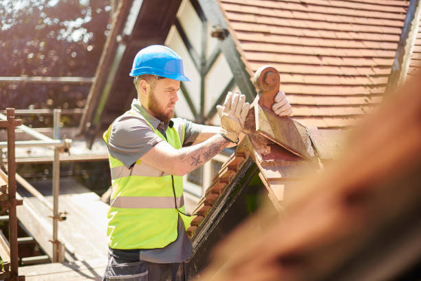 Best Local Roofing Companies  in Olivet, MI