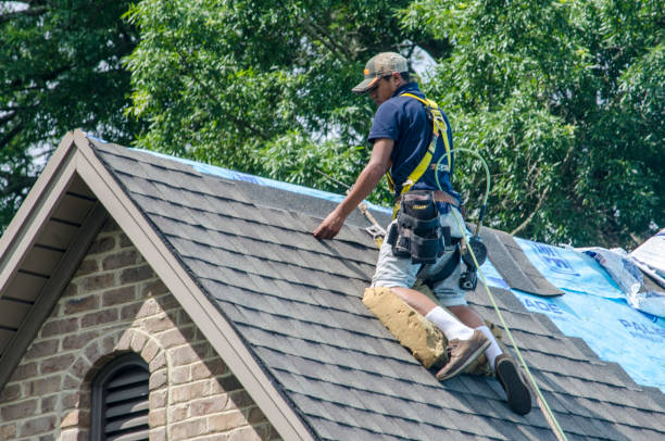 Best Roof Replacement Cost  in Olivet, MI